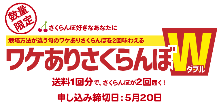 栽培方法が違う旬のワケありさくらんぼを2回味わえる新企画　ワケありさくらんぼダブル